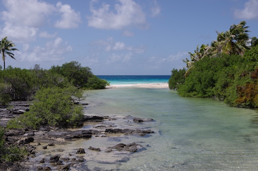 côté lagon Fakarava nord