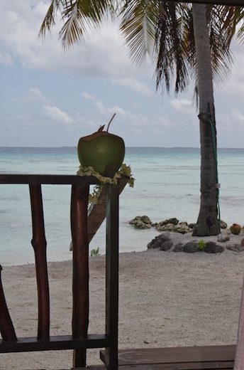 l'accueil polynésien, coco et collier fleurs Tiare